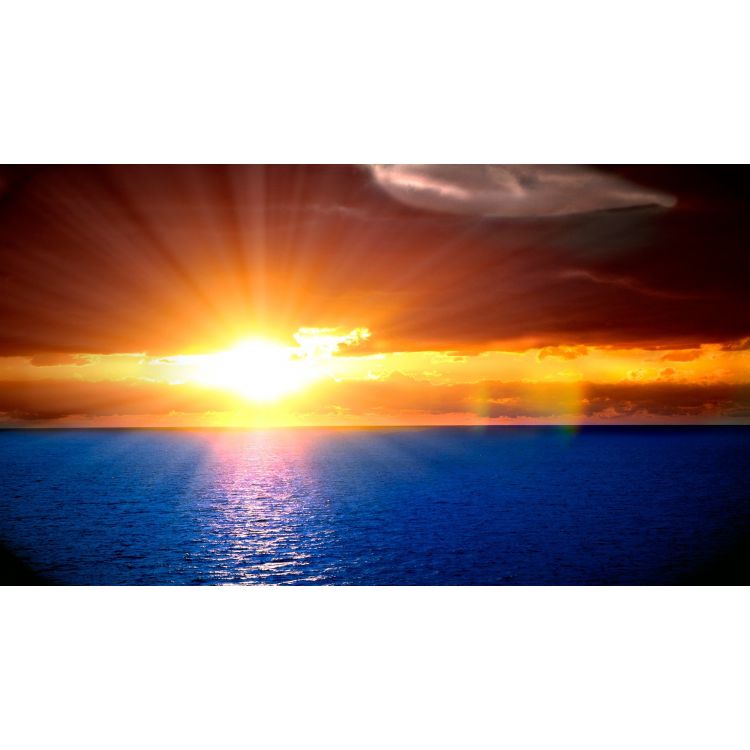 Кроки поки 1 